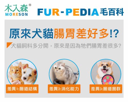 原來犬貓腸胃差好多