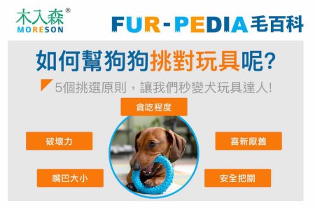 如何幫狗狗挑對玩具呢?
