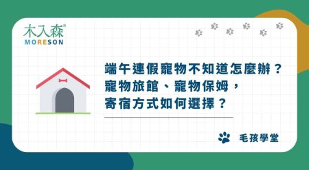 端午連假寵物不知道怎麼辦？寵物旅館、寵物保姆，寄宿方式如何選擇？