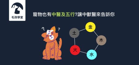 寵物也有中醫及五行?讓中獸醫來告訴你！