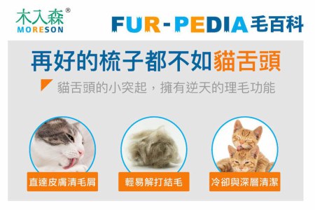 貓舌頭的小突起是什麼？貓咪理毛、解毛結與散熱秘密