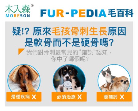 疑!? 原來毛孩骨刺生長原因是軟骨而不是硬骨嗎?