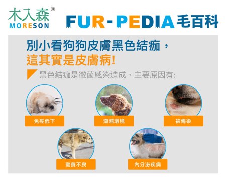 別小看狗狗皮膚黑色結痂，這其實是皮膚病！