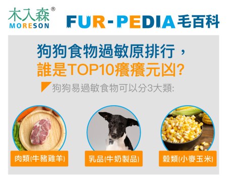 狗狗食物過敏原排行，誰是TOP10癢癢元凶?