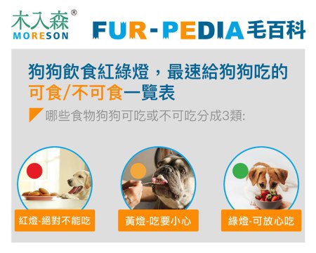 狗吃巧克力？狗狗不能吃什麼？精選常見的37種食物！