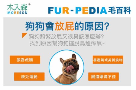 狗狗會放屁的原因?