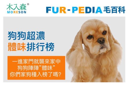 狗狗超濃體味排行榜