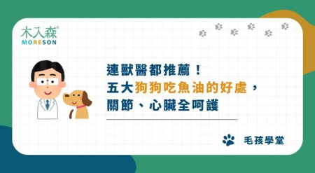 連獸醫都推薦！五大狗狗吃魚油的好處，關節、心臟全呵護
