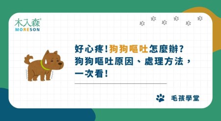 好心疼！狗狗嘔吐怎麼辦？ 狗狗嘔吐原因、處理方法一次看！