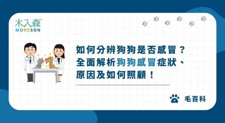 如何分辨狗狗是否感冒？從徵兆到治療，全面解析狗狗感冒症狀、原因及如何照顧！