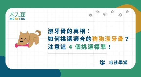 潔牙骨的真相：如何挑選適合的狗狗潔牙骨？注意這 4 個挑選標準！