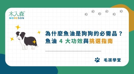 為什麼說魚油是狗狗的必需品？狗狗魚油 4 大功效與挑選指南