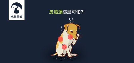 原來毛髮油膩形成的皮脂漏這麼可怕