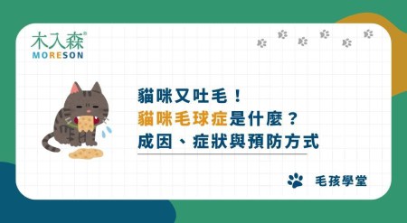 貓咪又吐毛！「貓咪毛球症」是什麼？成因、症狀與預防方式