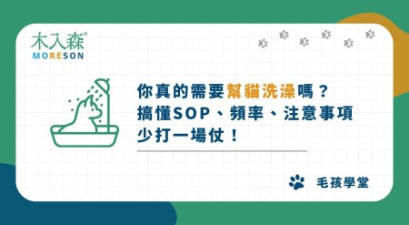 不一定要幫貓咪洗澡？搞懂貓洗澡SOP、頻率、注意事項！