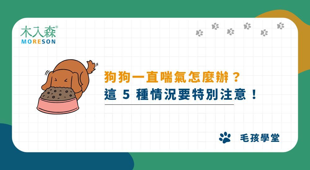 狗狗一直喘氣怎麼辦？這 5 種情況要特別注意！