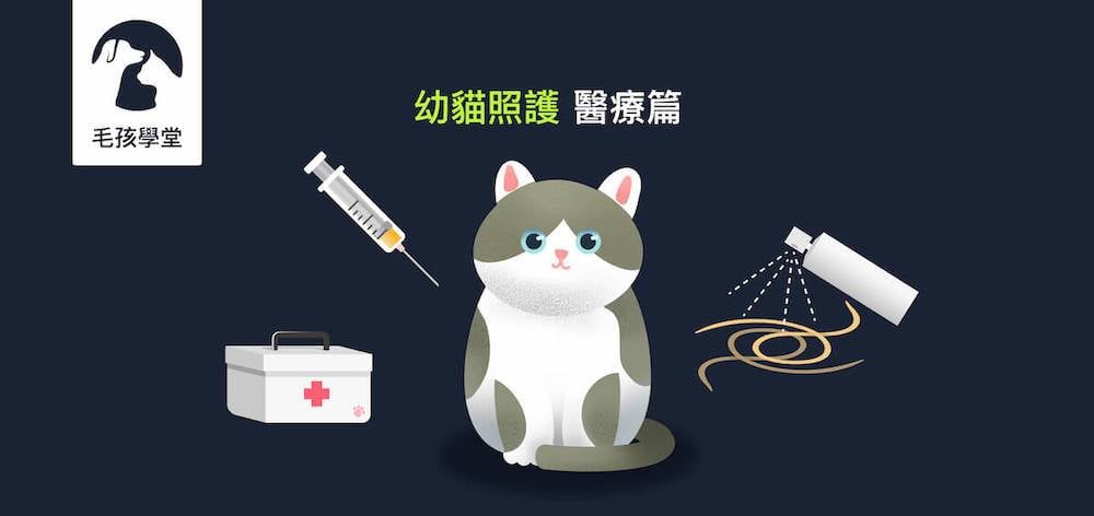 《幼貓照顧-教戰守則.5》醫療篇：疫苗、驅蟲、結紮，一次搞懂Knowhow！