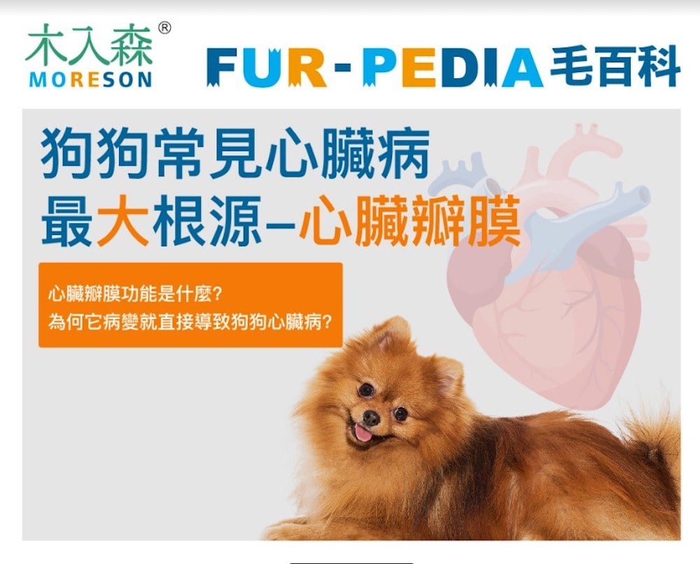 狗狗常見心臟病最大根源-心臟瓣膜
