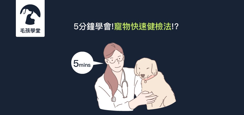 5分鐘學會！在家幫狗狗做基本的健康檢查