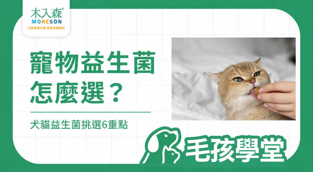 寵物益生菌怎麼選？犬貓益生菌複方與挑選重點