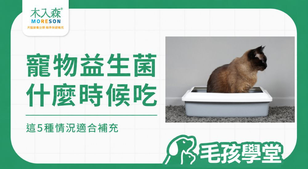 寵物腸胃益生菌什麼時候該吃？哪些情況適合補充？