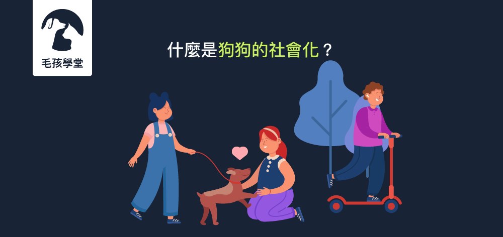 什麼是狗狗的社會化？狗狗社會化的定義及如何協助狗狗社會化