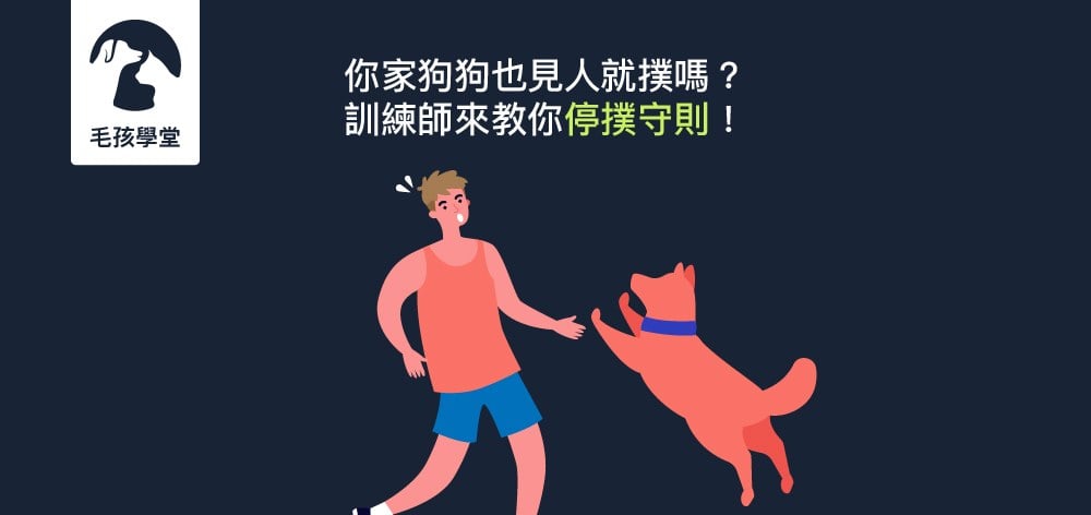 你家狗狗也見人就撲嗎？訓練師來教你停撲守則！