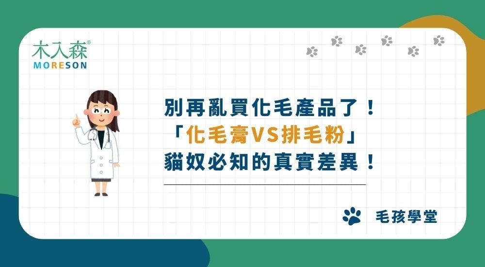 別再亂買化毛產品了！貓奴必懂的「化毛膏vs排毛粉」真實差異！