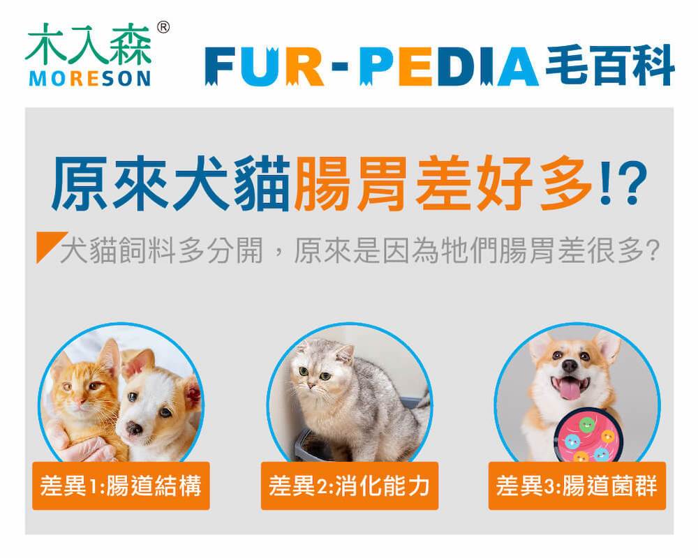 原來犬貓腸胃差好多