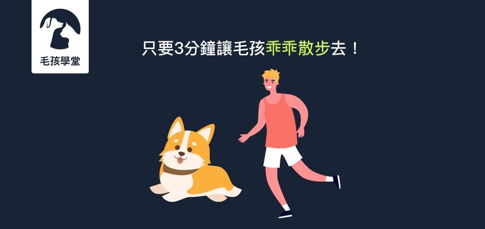 一出門就爆衝？3分鐘教會你，讓狗狗乖乖散步去！