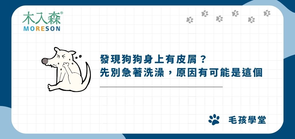 發現狗狗身上有皮屑？先別急著洗澡，原因有可能是這個