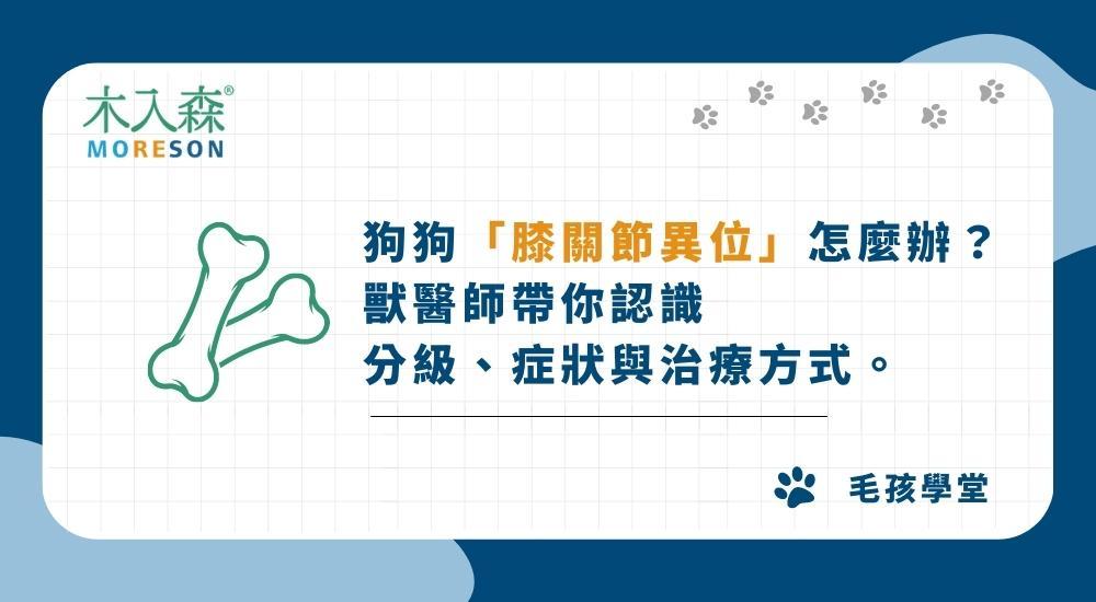 狗狗「膝關節異位」怎麼辦？獸醫師帶你認識分級、症狀與治療方式。