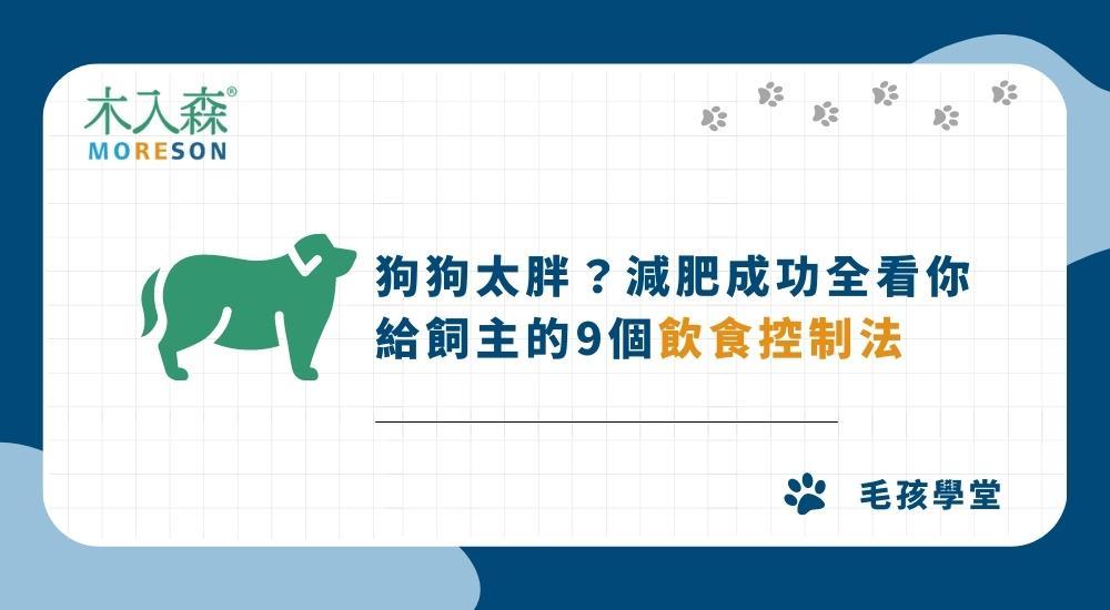 狗狗太胖需要減肥？關鍵人物就是你！給飼主的9個飲食控制法