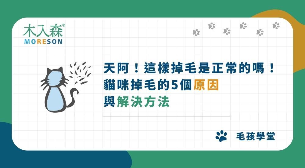 天阿！這樣掉毛是正常的嗎！貓咪掉毛的5個原因與解決方法