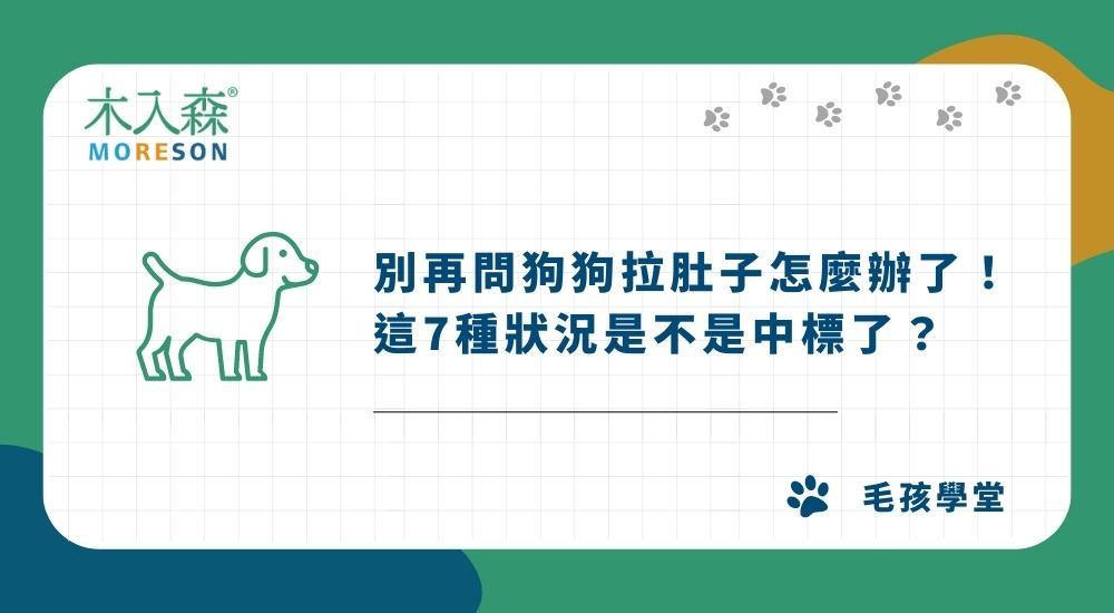 別再問狗狗拉肚子怎麼辦了！這7種狀況是不是中標了？