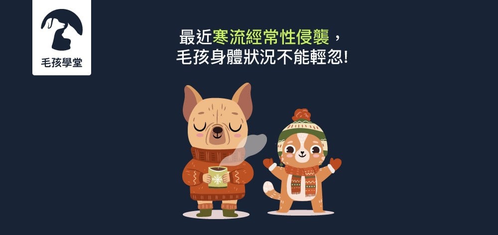 最近寒流經常性侵襲，毛孩身體狀況不能輕忽!