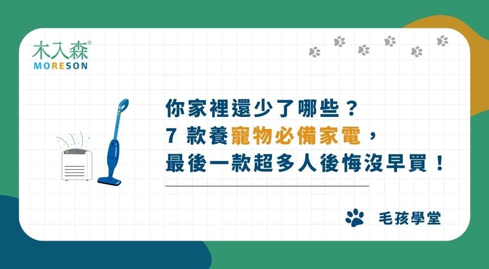 你家裡還少了哪些？7 款養寵物必備家電，最後一款超多人後悔沒早買！