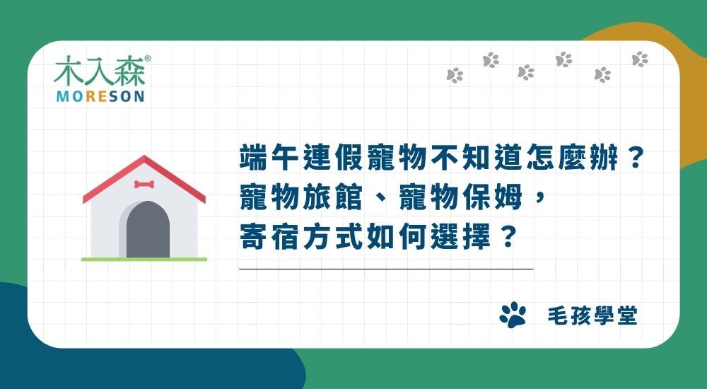 端午連假寵物不知道怎麼辦？寵物旅館、寵物保姆，寄宿方式如何選擇？
