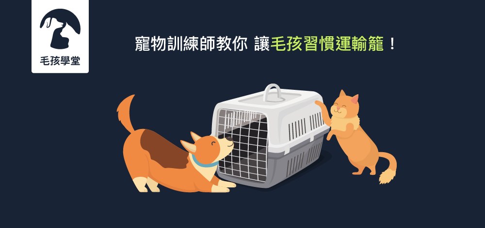 寵物訓練師教你 讓毛孩習慣運輸籠！