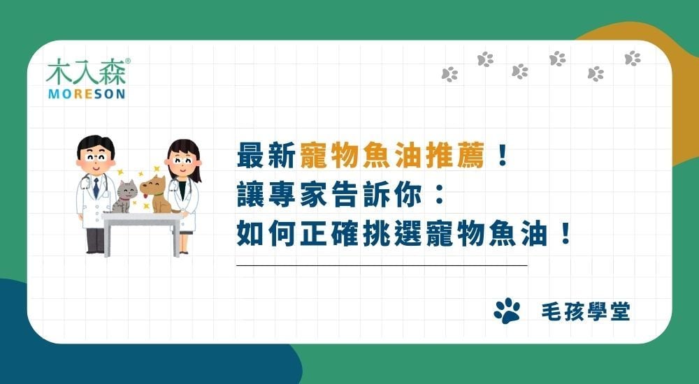 【2025】最新寵物魚油推薦：讓專家告訴你如何正確挑選寵物魚油！