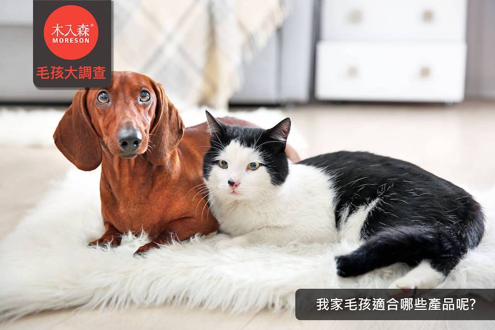我家犬貓適合哪些產品呢?