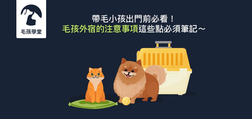 帶毛小孩出門前必看！毛孩外宿的注意事項這些點必須筆記～