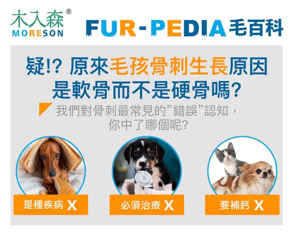 疑!? 原來毛孩骨刺生長原因是軟骨而不是硬骨嗎?