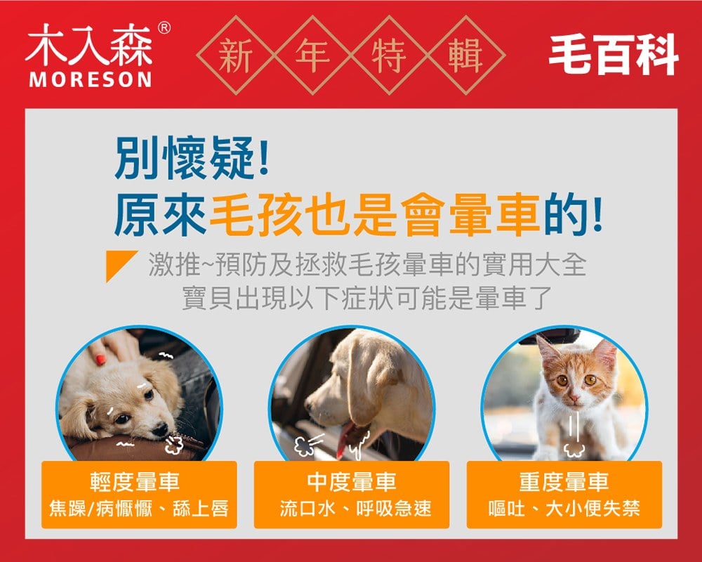 貓咪狗狗暈車了怎麼辦？試試看這 12 招方法，從出門到車上都適用