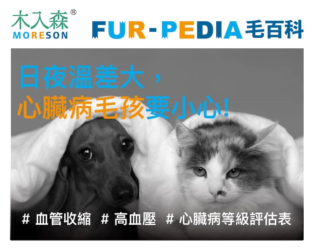 日夜溫差大，心臟病毛孩要小心!