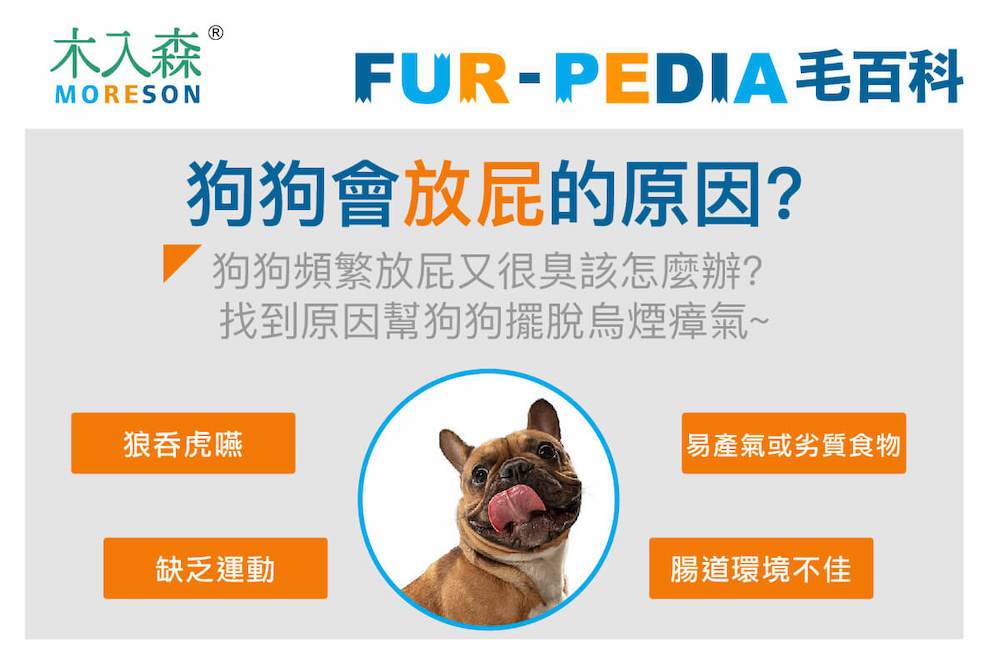 狗狗會放屁的原因?