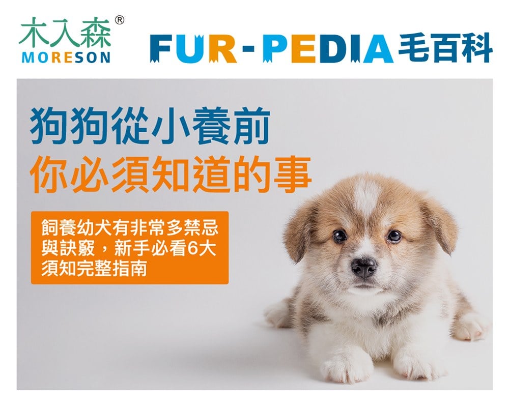 新手大戰幼犬！小狗怎麼養才對？！