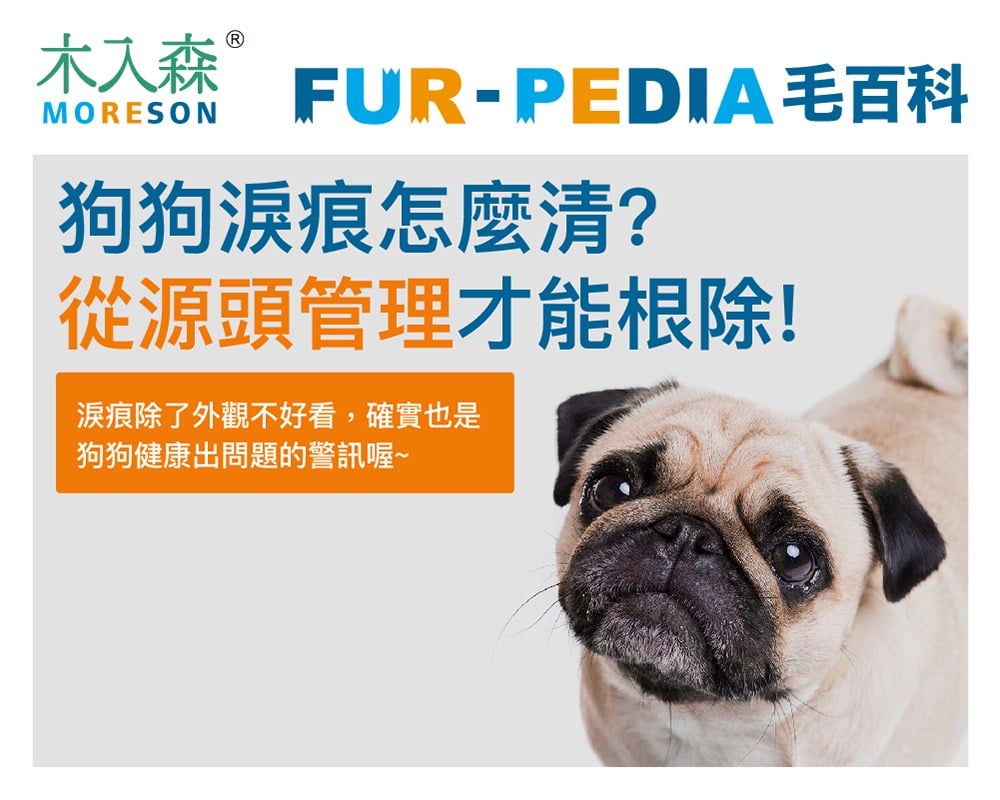 狗狗淚痕完全打擊！推薦給飼主的4招清潔、改善方法