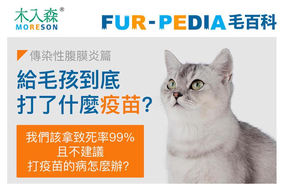 我給毛孩到底打了什麼疫苗?-傳染性腹膜炎篇
