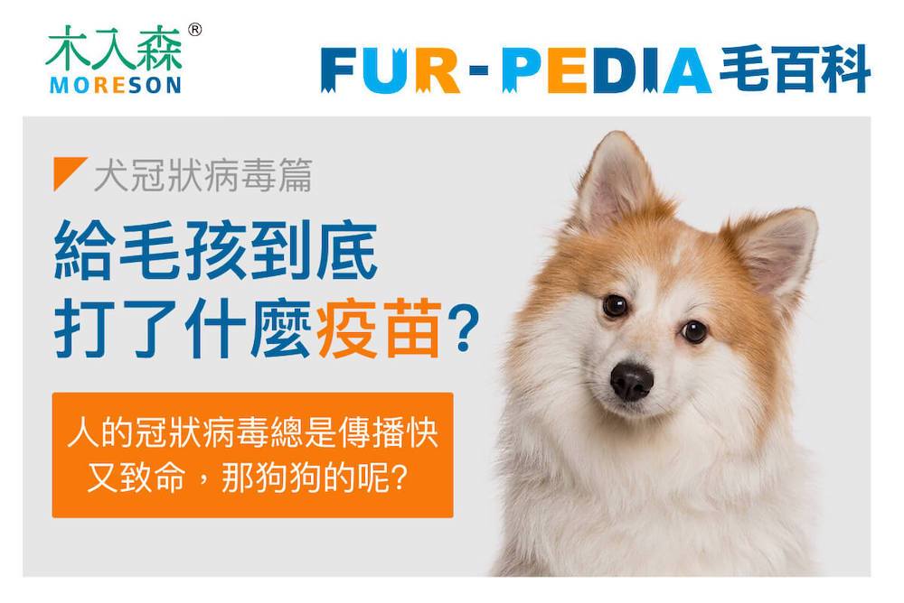我給毛孩到底打了什麼疫苗？《犬冠狀病毒篇》